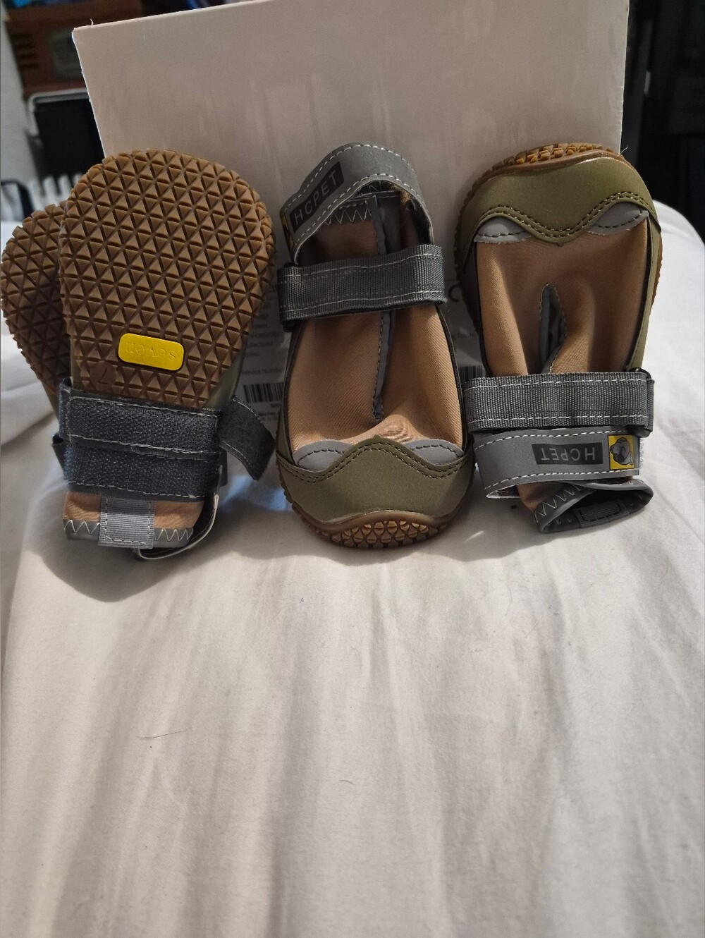 Dog Shoes Size 7